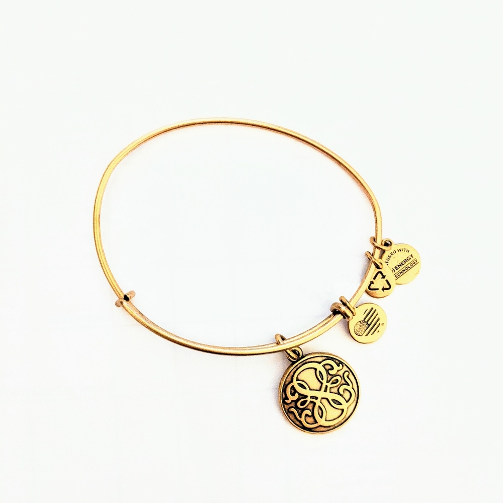 ALEX & ANI - NWOT Gold Charm Bangle